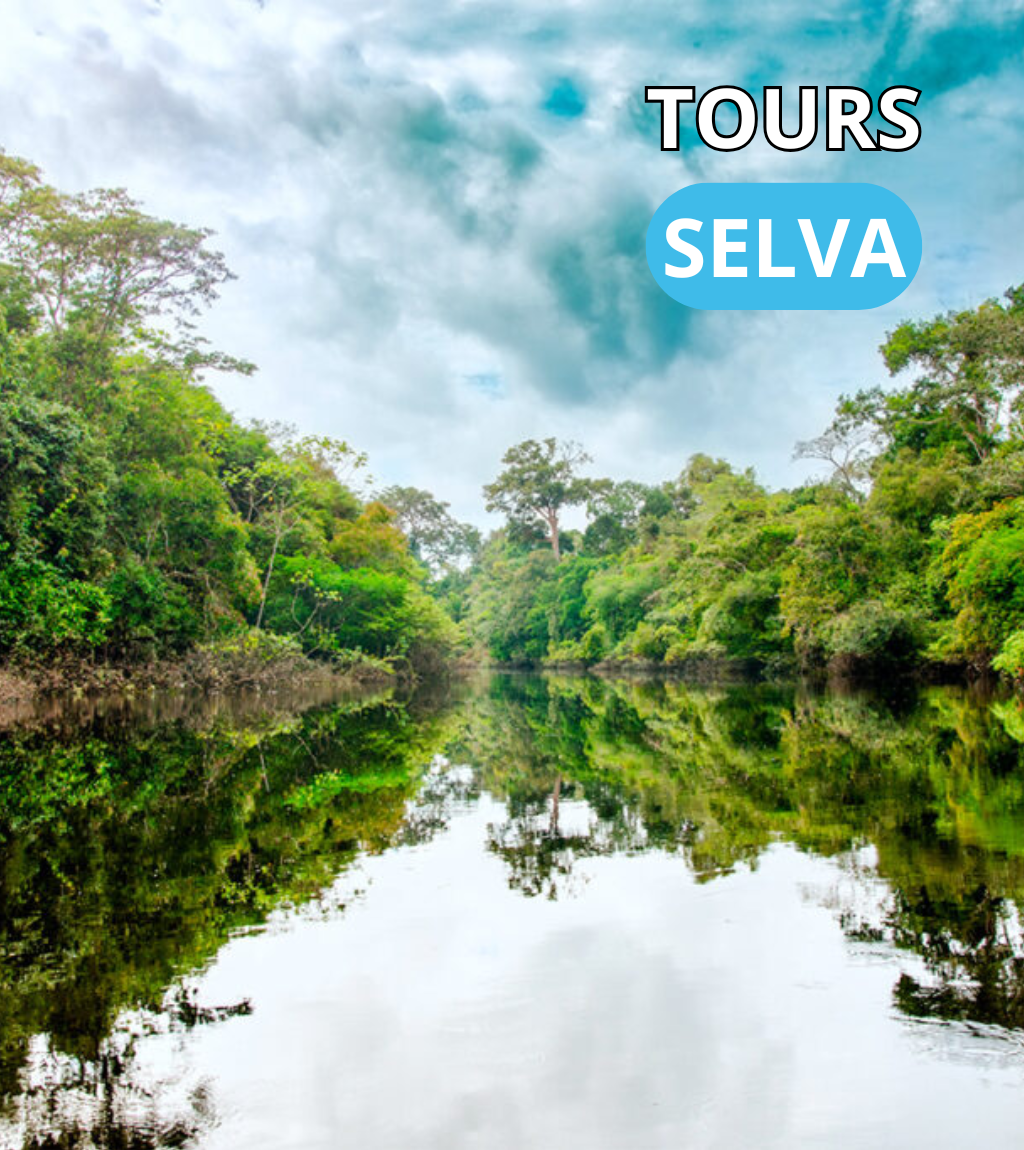 FULL DAY PORTADAS (3)