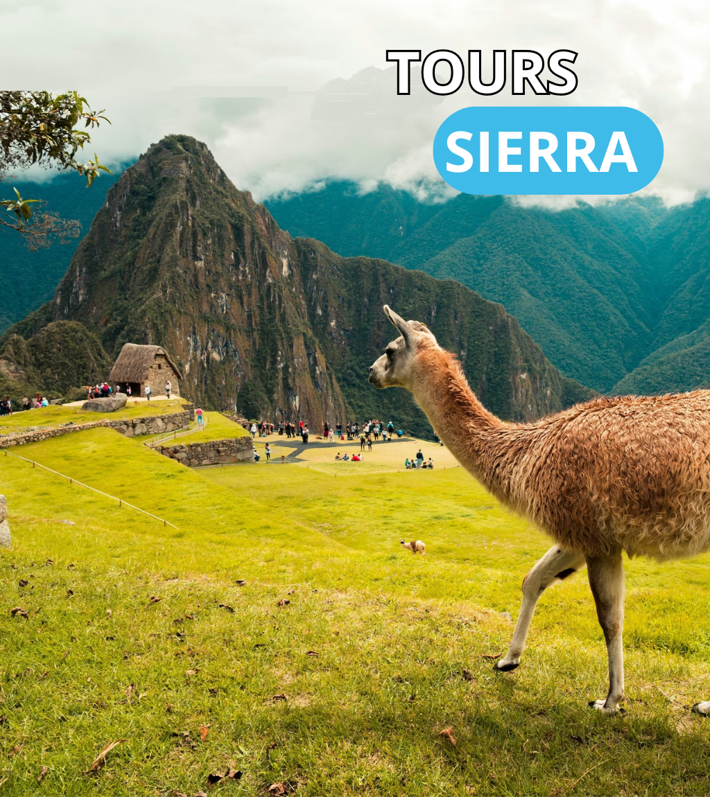 FULL DAY PORTADAS (4)